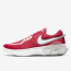 SEPATU LARI NIKE Joyride Dual Run