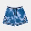 CELANA BASKET AIR JORDAN Dri-FIT Sport Diamond Shorts