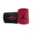 AKSESORIS BASKET AIR JORDAN Jumpman X Wings Wristbands