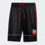 CELANA BASKET ADIDAS Harden Abstraction Shorts