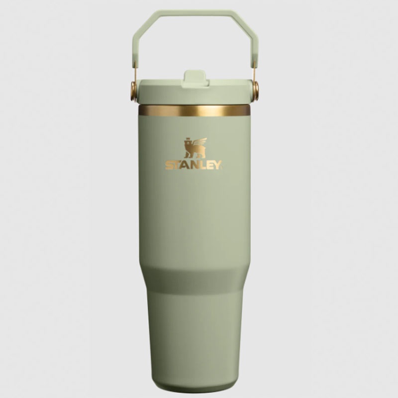 BOTOL MINUM TRAINING STANLEY The Ice Flow Flip Straw Tumbler 2.0 30 oz