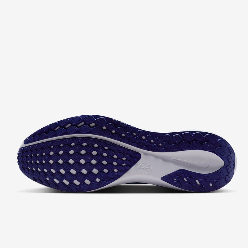 SEPATU LARI NIKE AIR ZOOM PEGASUS 41