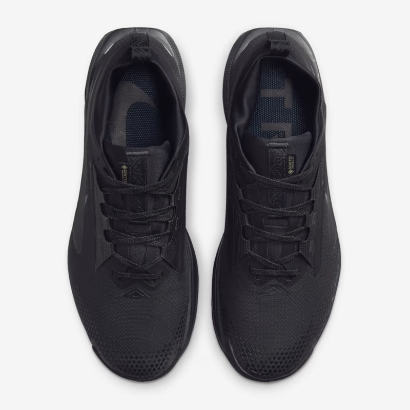 SEPATU TRAIL NIKE Pegasus Trail 5 GORE-TEX