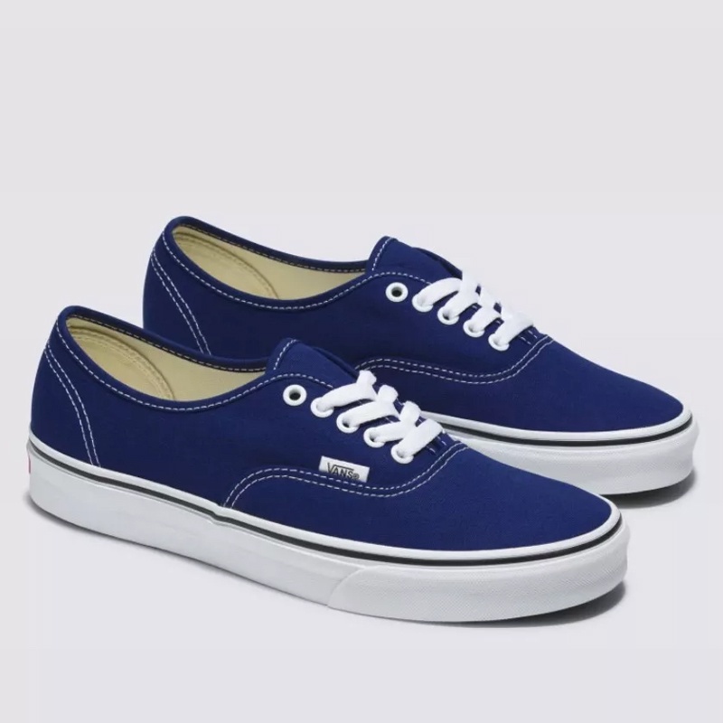 SEPATU SNEAKERS VANS Authentic COLOR THEORY