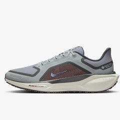 Pegasus 41 GORE-TEX Dark Smoke Grey